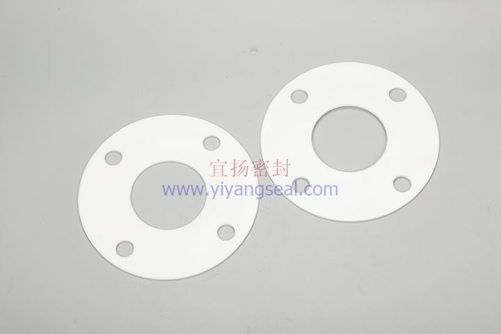 PTFE gasket full plane
