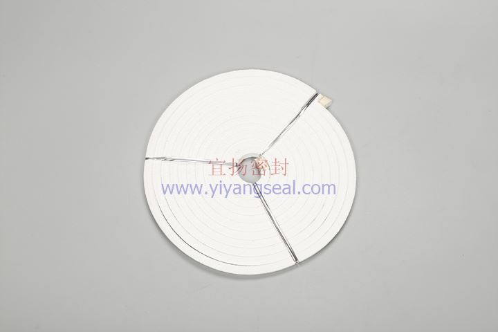PTFE packing ring