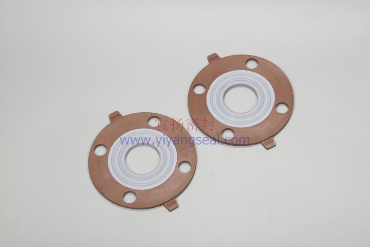 Fluorine encapsulated gasket