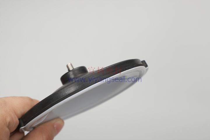 Fluorinated diaphragm sheet