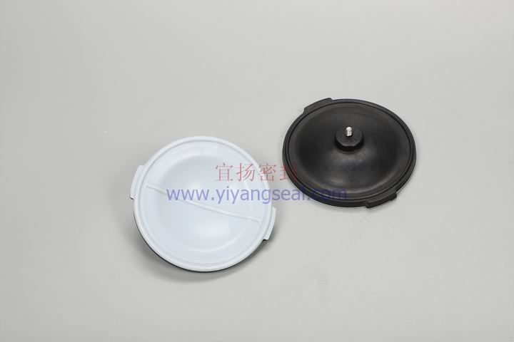 Fluorinated diaphragm sheet